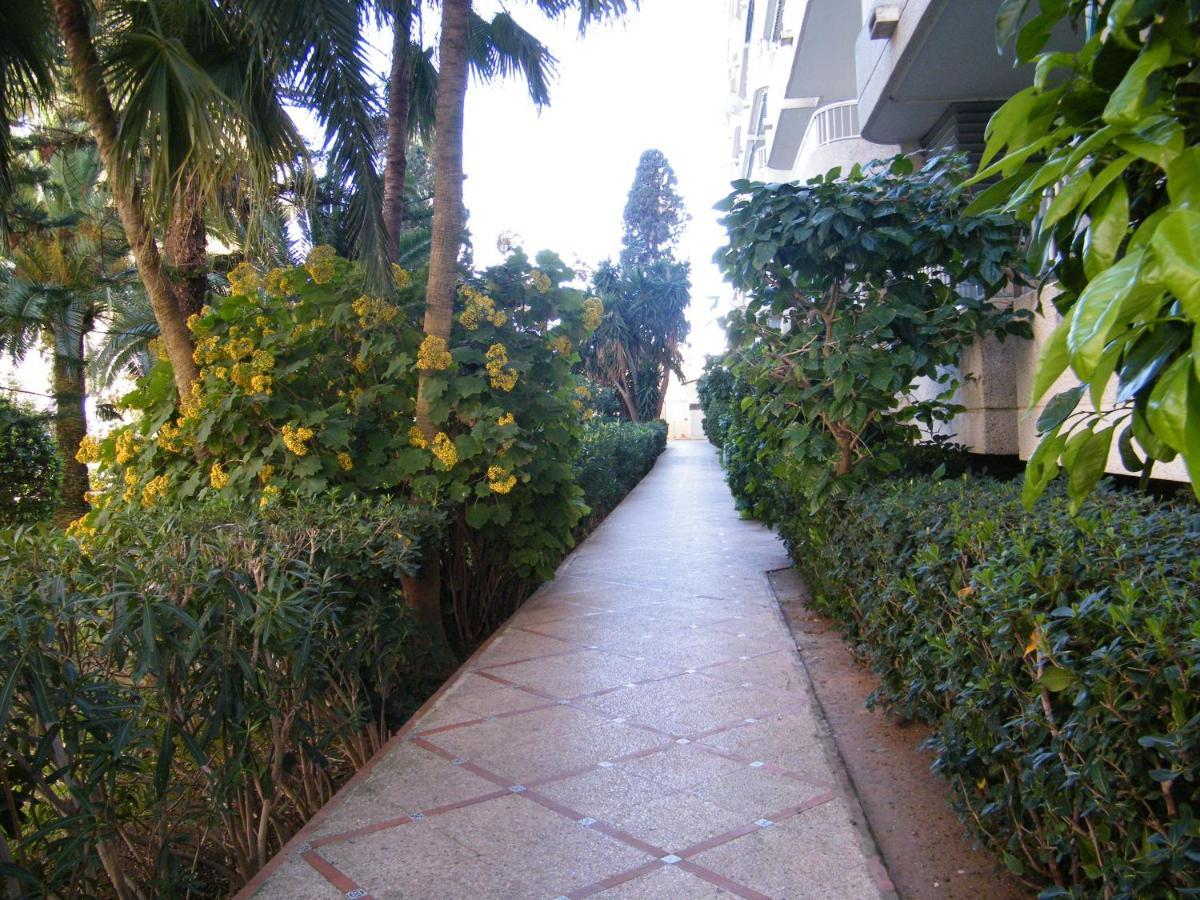 Apartamento Parque Ii, Mnostrum Playa De Gandia Exclusivo Familias 외부 사진